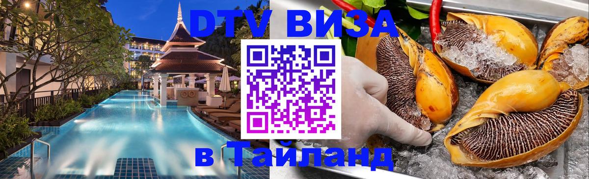 Visa ДТВ Тайланд помощь 